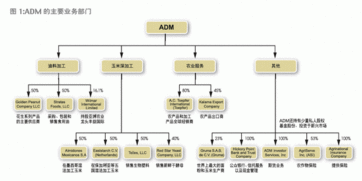 新財(cái)富雜志檢索