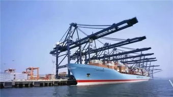 柬埔寨西港 海的那邊,一個土豪城市正在崛起