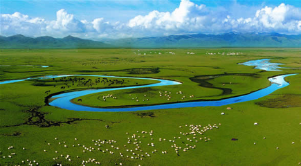 濕地生態(tài)系統(tǒng)的重要作用