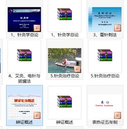 中醫(yī)智慧，本草華章 最新中醫(yī)學(xué)與中藥學(xué)精品課件資源概覽